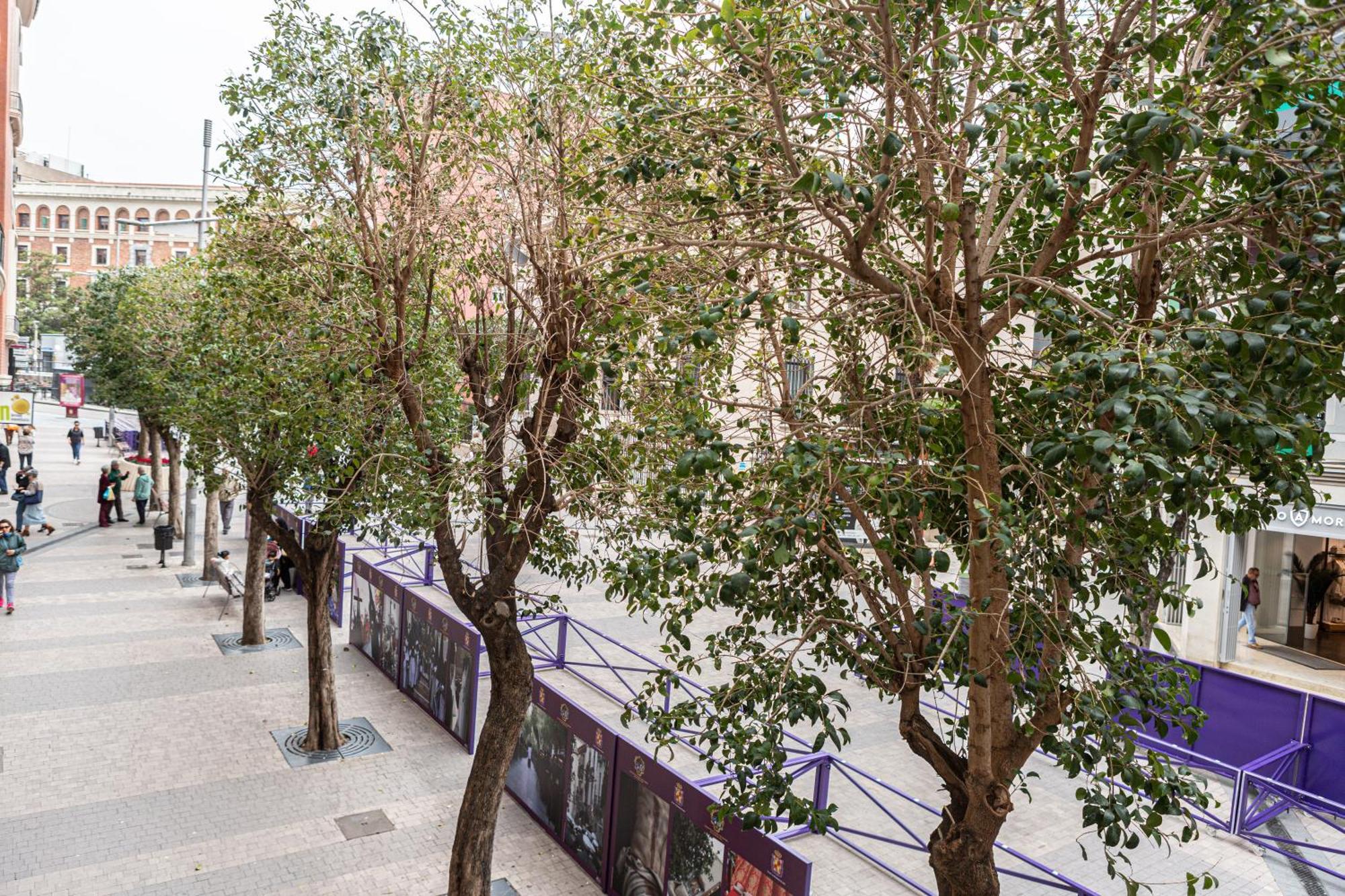 Royar Apartamentos 哈恩 外观 照片